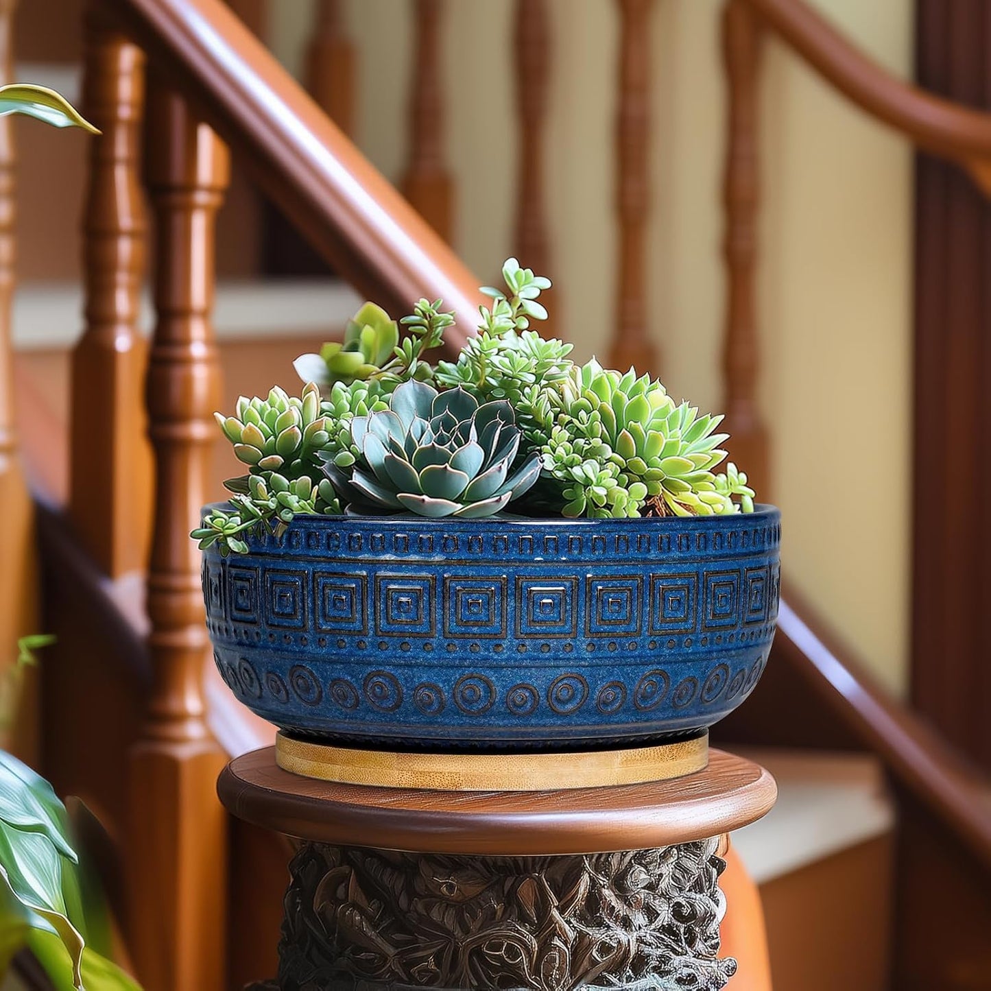 Bonsai Pots 8 Inch - Ceramic Succulent Pots, round Planter for Indoor Plants, Modern Outdoor Planter with Drainage and Plant Saucer, Boho Home Decor, House Warming Gifts New Home, Blue