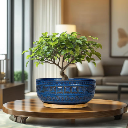 Bonsai Pots 8 Inch - Ceramic Succulent Pots, round Planter for Indoor Plants, Modern Outdoor Planter with Drainage and Plant Saucer, Boho Home Decor, House Warming Gifts New Home, Blue