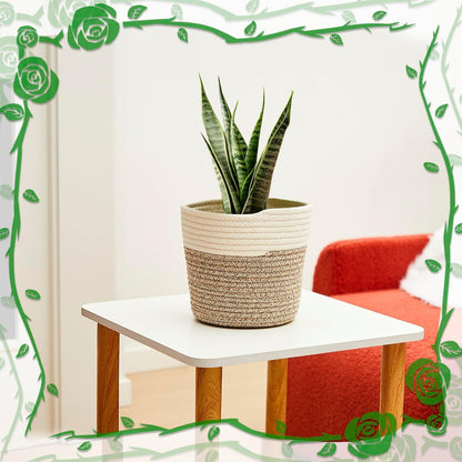 3 Pack Cotton Rope Plant Baskets with Plastic Liner, 7.5 X 6.5 Inch Woven Indoor Planter Basket for 6 Inch Pots, Rustic Boho Plant Pot Covers for Home Shelf Table Decor(White, Beige)