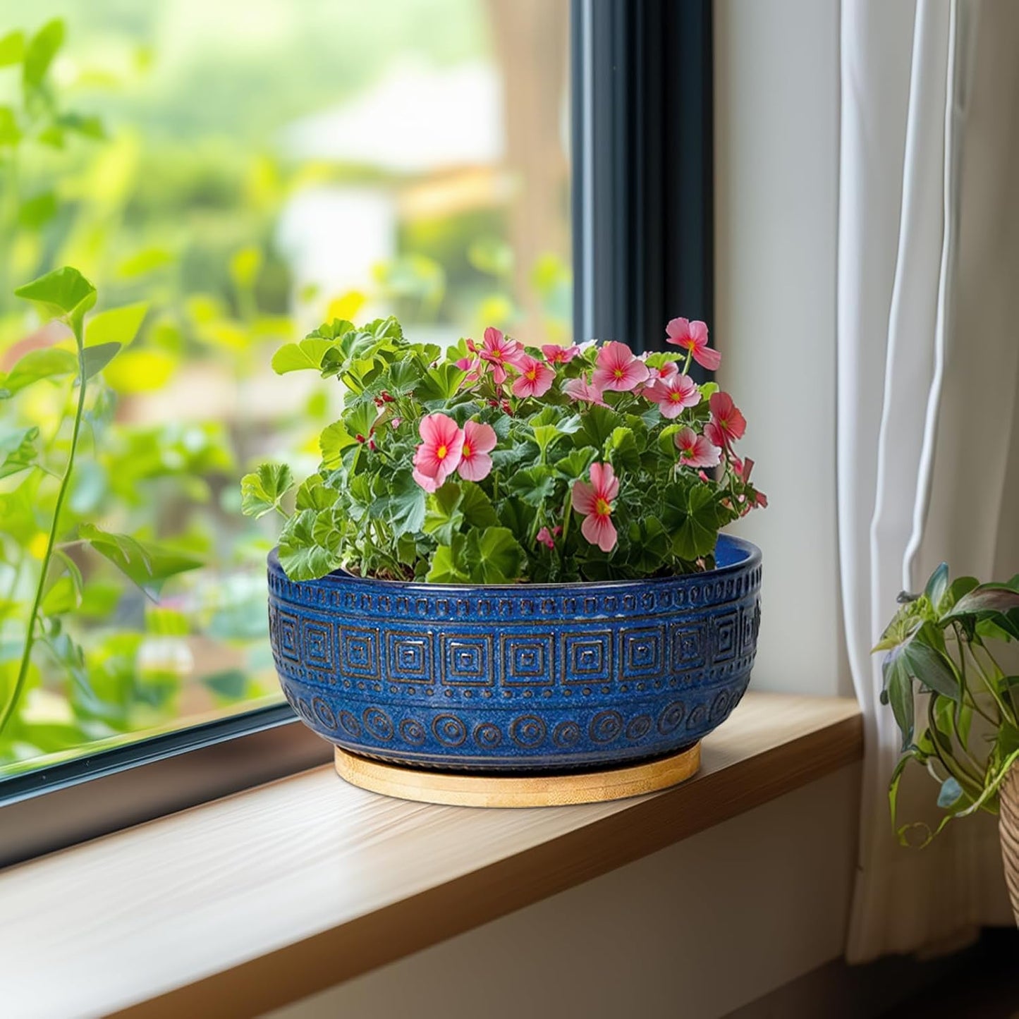Bonsai Pots 8 Inch - Ceramic Succulent Pots, round Planter for Indoor Plants, Modern Outdoor Planter with Drainage and Plant Saucer, Boho Home Decor, House Warming Gifts New Home, Blue