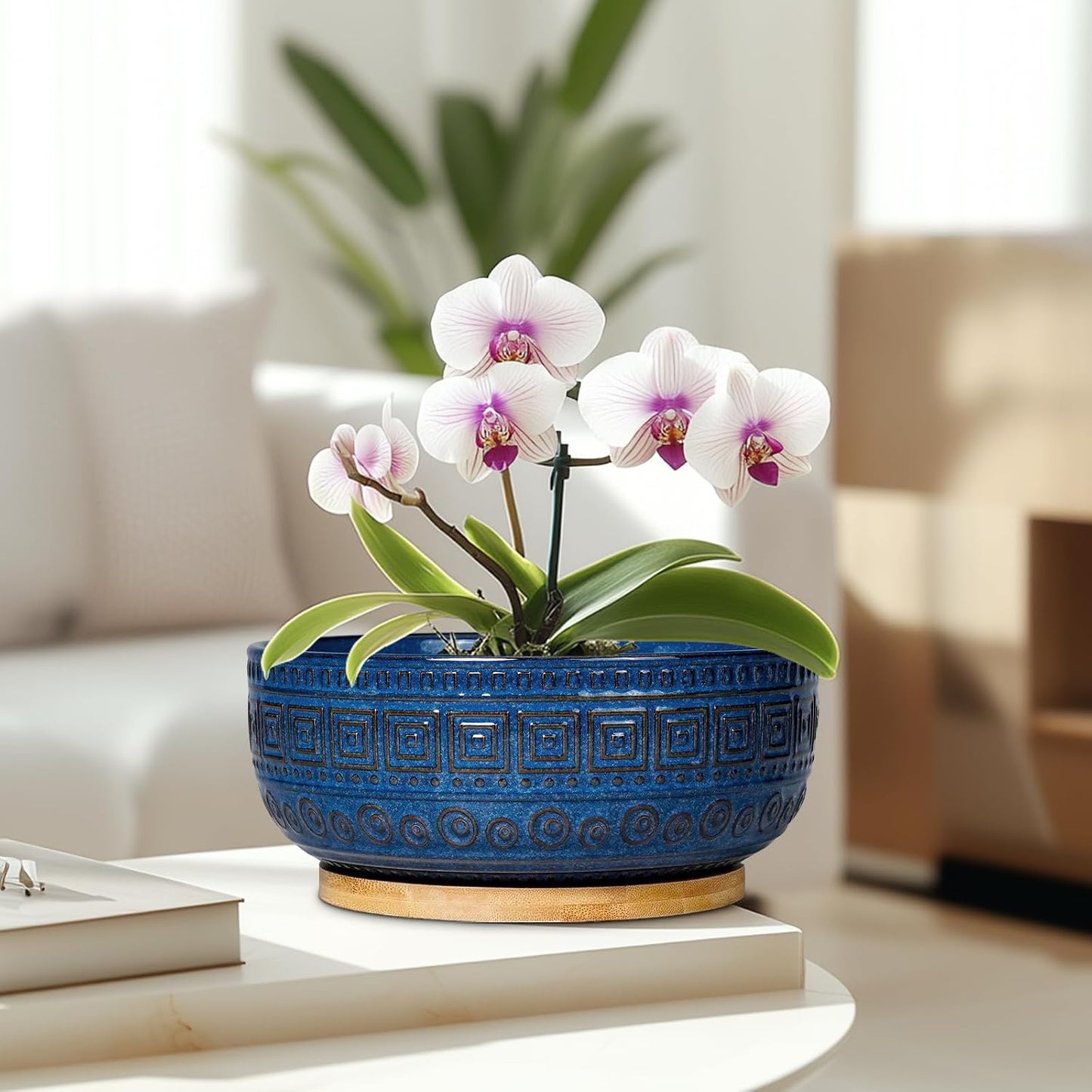 Bonsai Pots 8 Inch - Ceramic Succulent Pots, round Planter for Indoor Plants, Modern Outdoor Planter with Drainage and Plant Saucer, Boho Home Decor, House Warming Gifts New Home, Blue