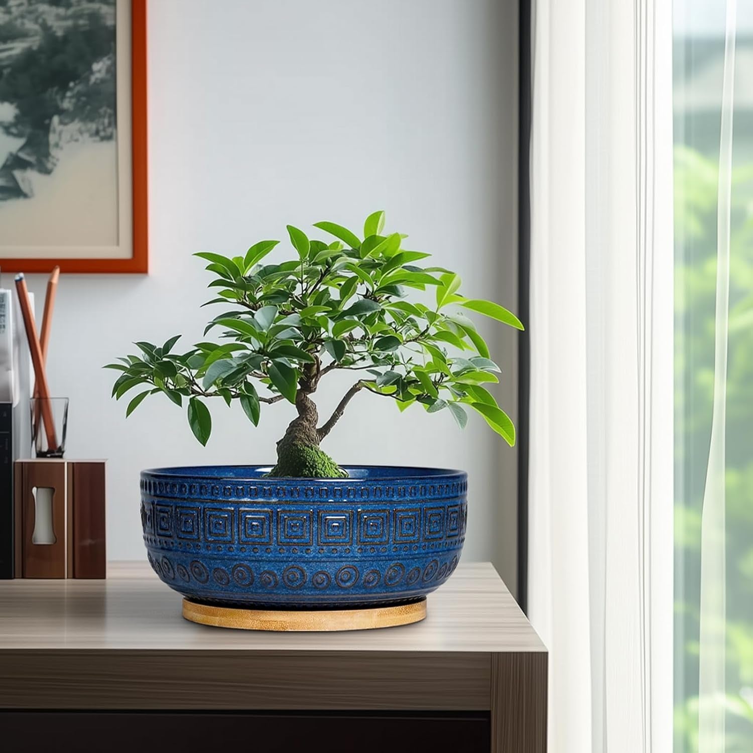 Bonsai Pots 8 Inch - Ceramic Succulent Pots, round Planter for Indoor Plants, Modern Outdoor Planter with Drainage and Plant Saucer, Boho Home Decor, House Warming Gifts New Home, Blue