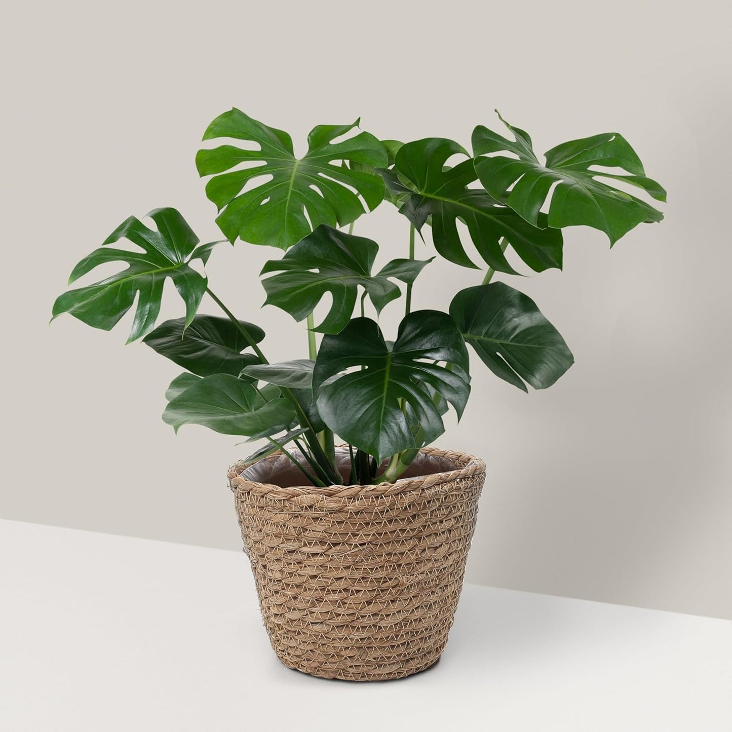 Small Basket Planter 7.1" X 5.9" Seagrass Containers, Hand Woven Wicker Cover Storage, Stylish Plastic Liners Straw Flower Jute Pots for Outdoor Indoor Use Mums Front Porch Room Decoration